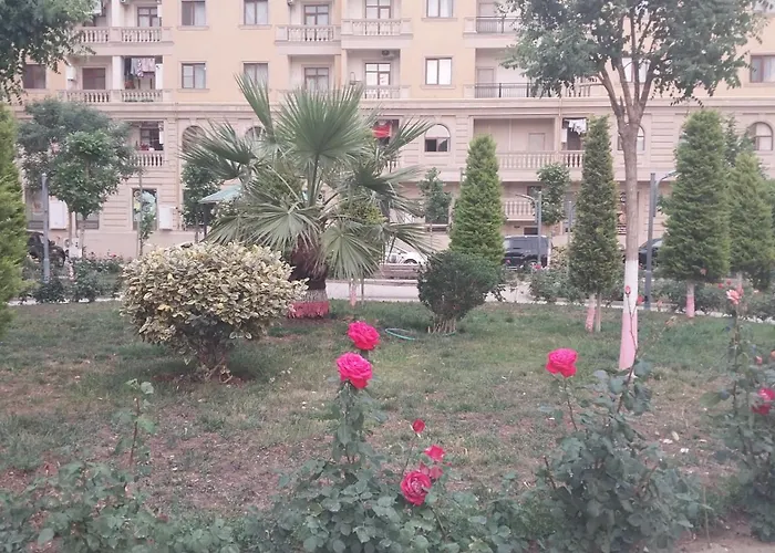 Banu House